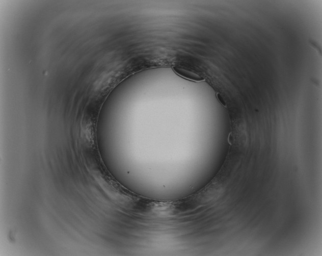 X0000103470088200809191845