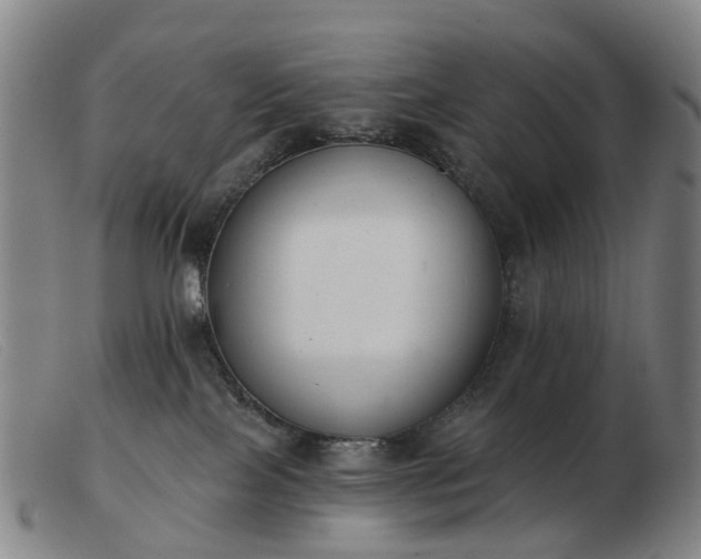 X0000103470089200809191845