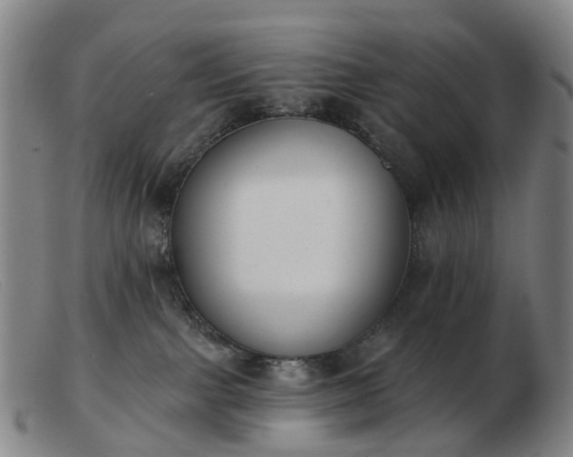 X0000103470091200809191845