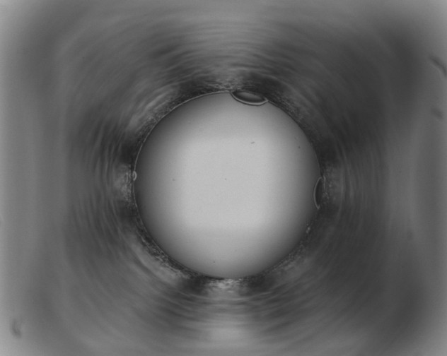 X0000103470092200809191845