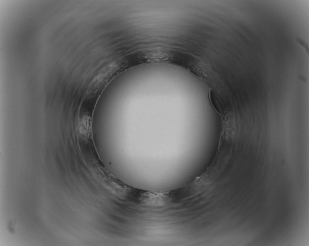 X0000103470093200809191845