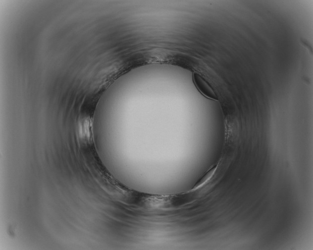 X0000103470094200809191845