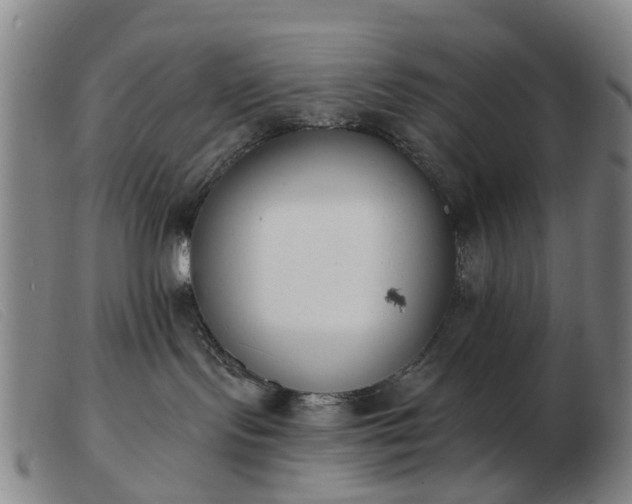 X0000103470095200809191845