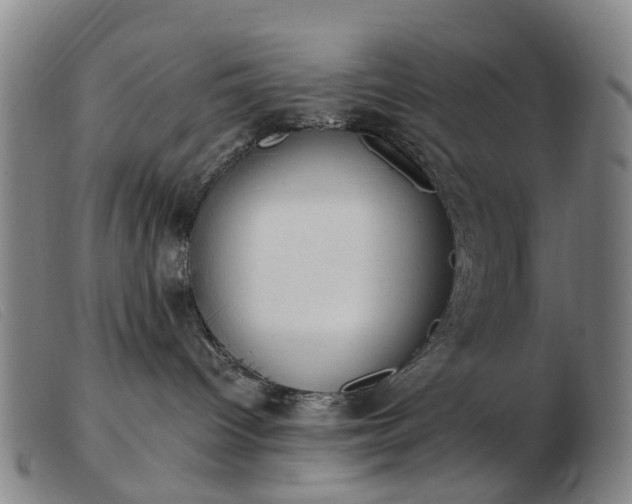 X0000103470096200809191845