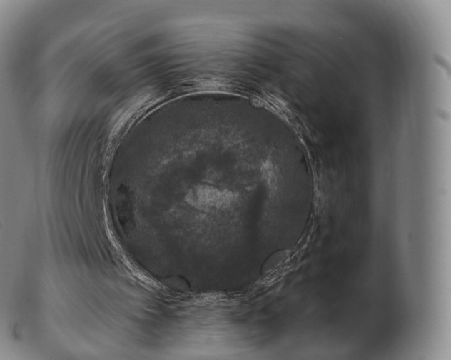 X0000103470097200809191845