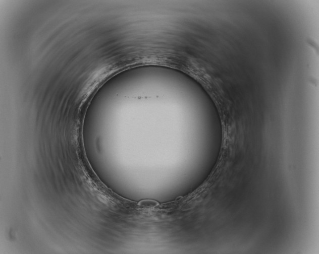 X0000103470098200809191844