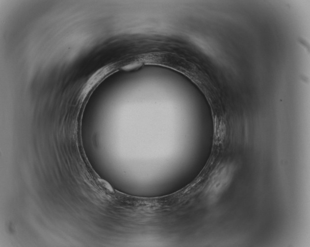 X0000103470099200809191844