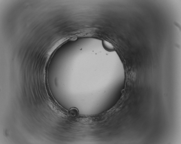 X0000103470100200809191844