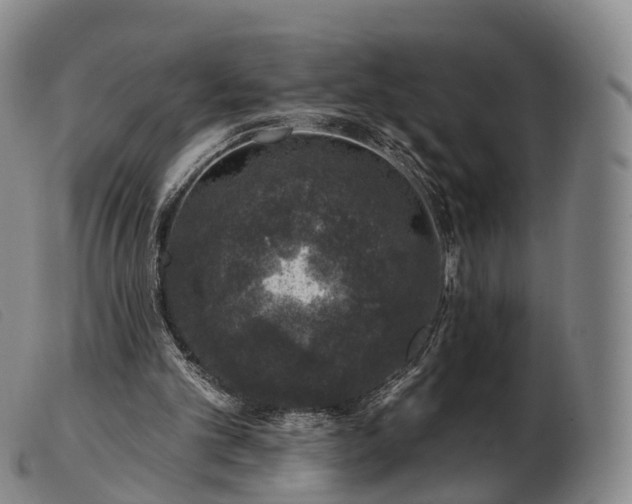 X0000103470101200809191844