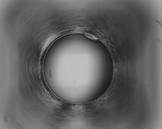 X0000103470102200809191844