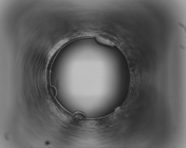 X0000103470104200809191844