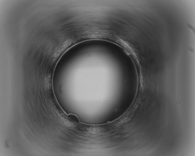 X0000103470105200809191844