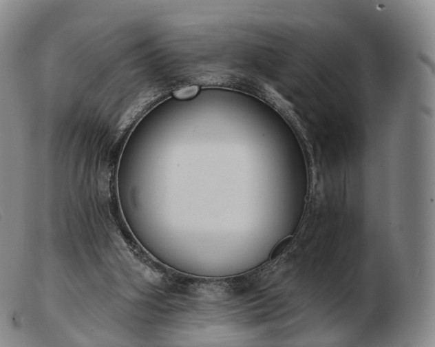 X0000103470106200809191844