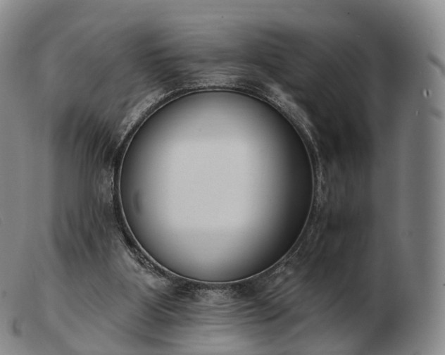 X0000103470107200809191844