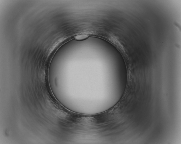 X0000103470108200809191844