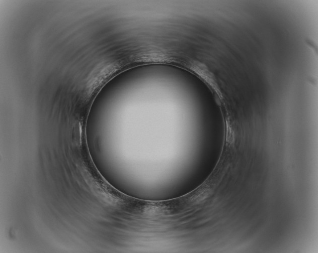 X0000103470109200809191844