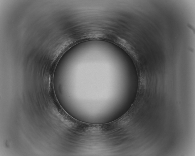 X0000103470110200809191844