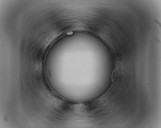 X0000103470112200809191844