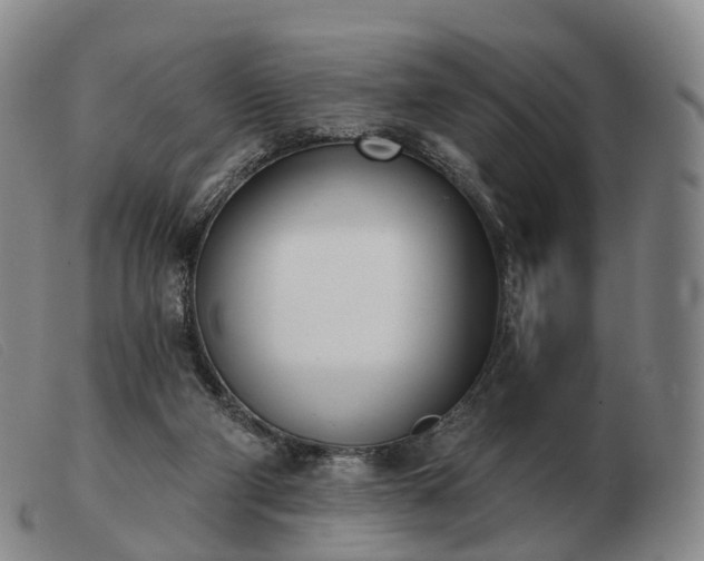 X0000103470114200809191844