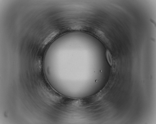 X0000103470116200809191844