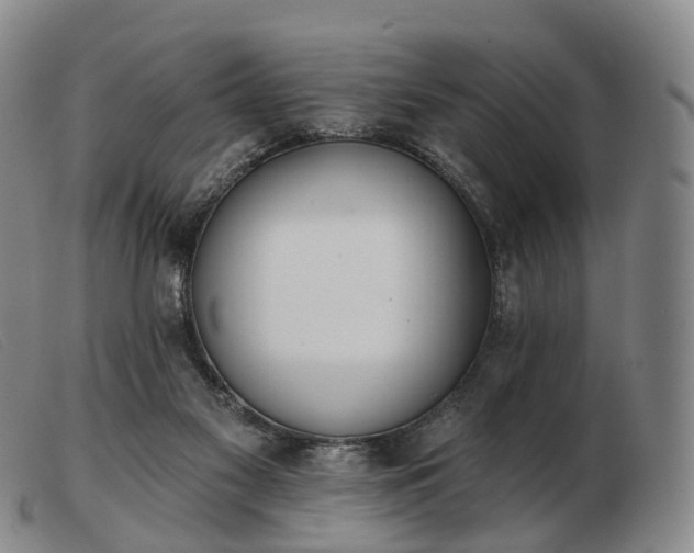 X0000103470117200809191844