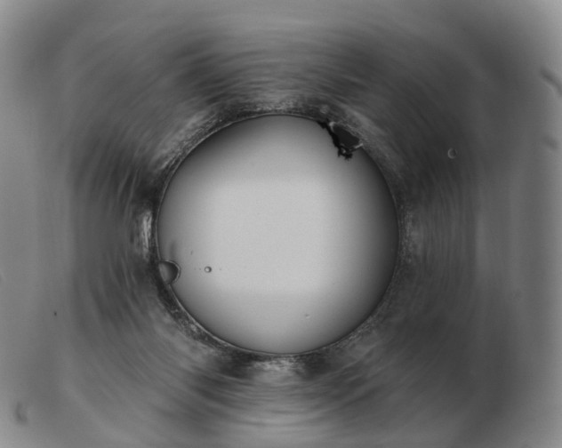 X0000103470118200809191844