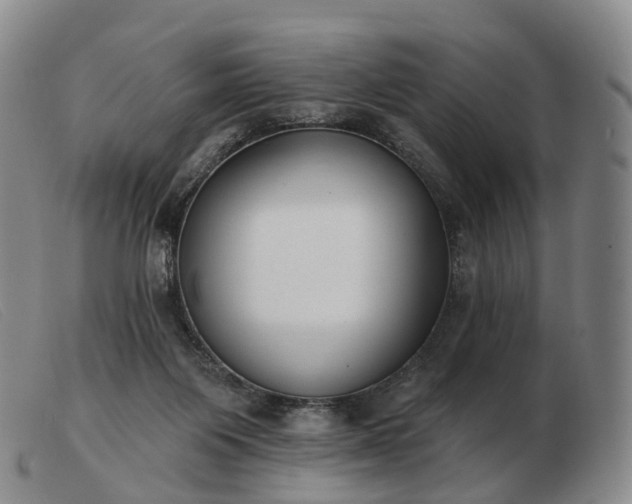 X0000103470119200809191844