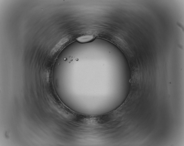 X0000103470120200809191844