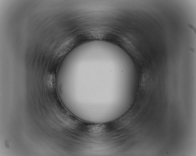 X0000103470122200809191844