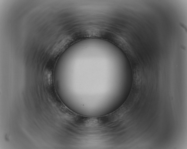 X0000103470123200809191844