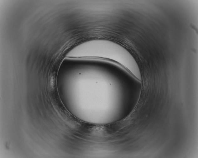 X0000103470124200809191844