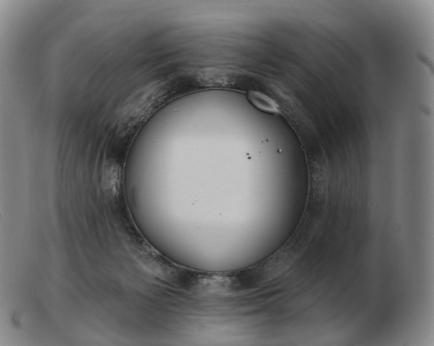 X0000103470125200809191844