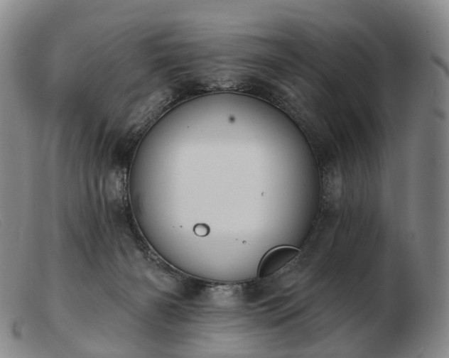 X0000103470126200809191844