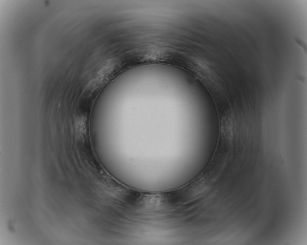 X0000103470127200809191844