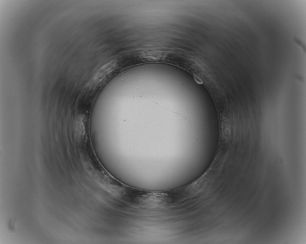 X0000103470128200809191844