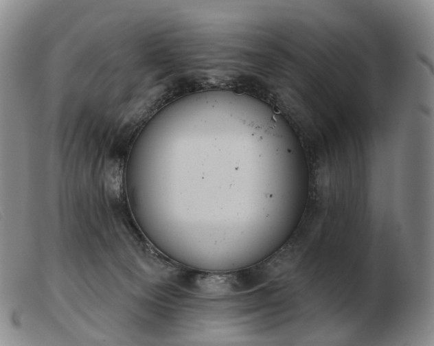 X0000103470129200809191844