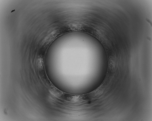 X0000103470130200809191844