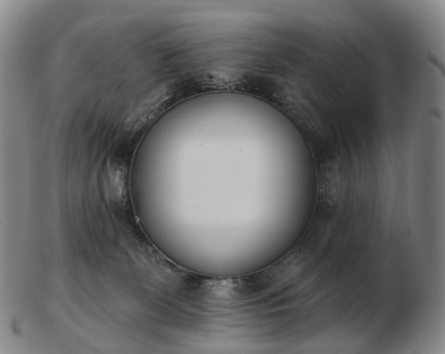 X0000103470131200809191844