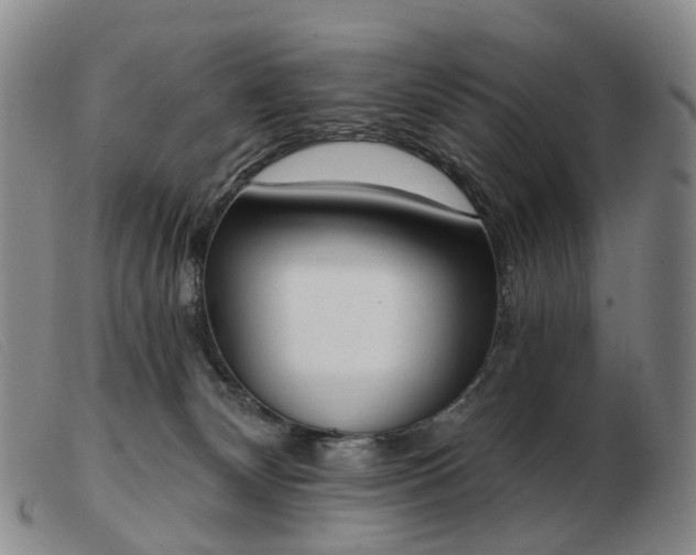 X0000103470132200809191844