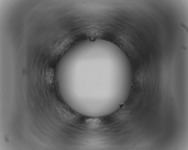 X0000103470133200809191844