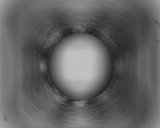 X0000103470134200809191844