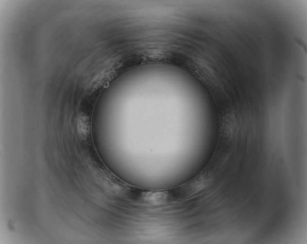 X0000103470135200809191844