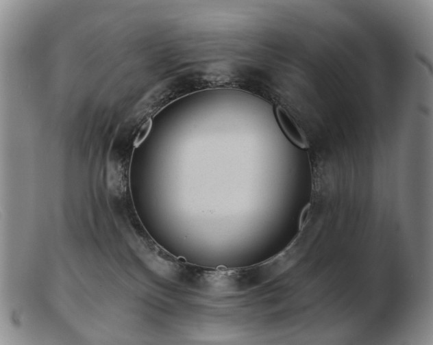 X0000103470136200809191844