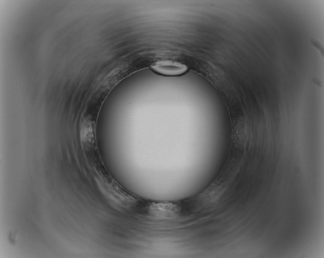 X0000103470137200809191844