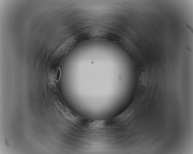 X0000103470138200809191844