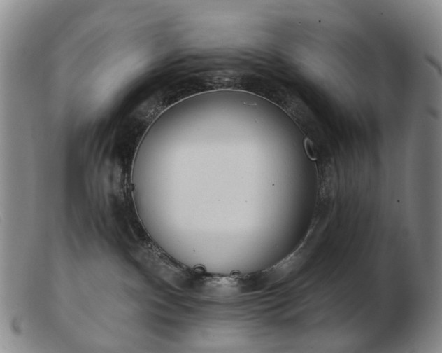 X0000103470140200809191844