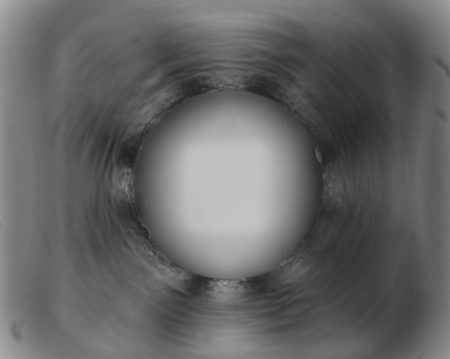 X0000103470141200809191844