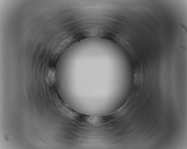 X0000103470142200809191844