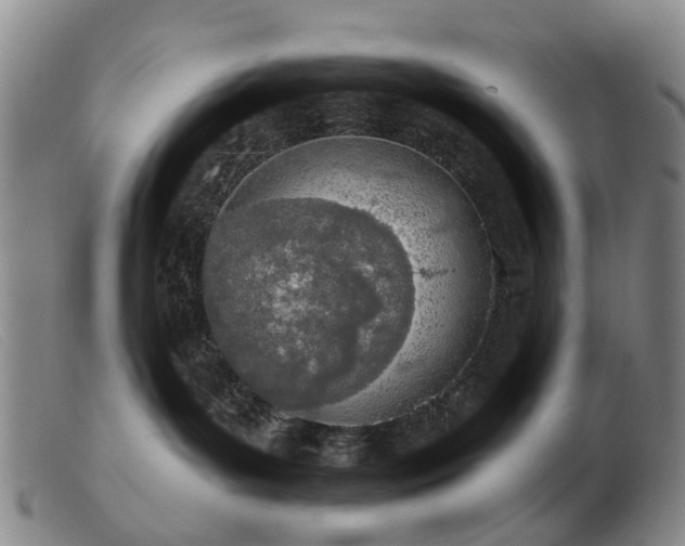 X0000103470143200809191844