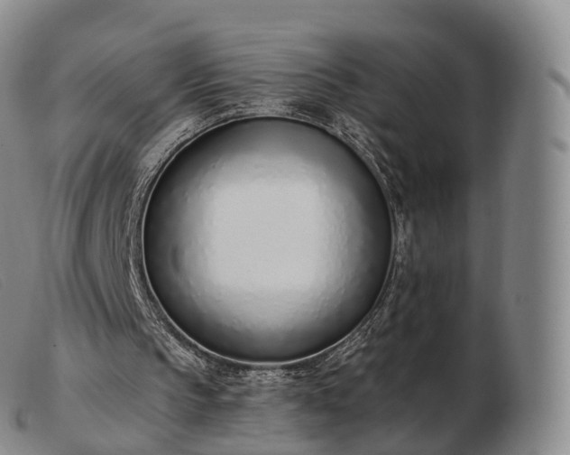 X0000103470145200809191843